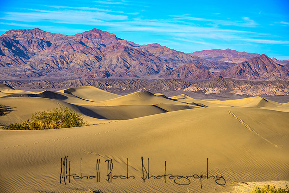 20200126_death_valley-4153-Edit.jpg