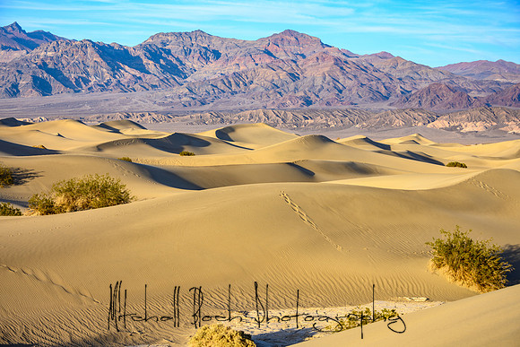 20200126_death_valley-4164.jpg