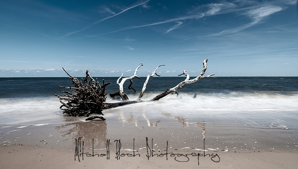 20200512_big_talbot_black_rock_beach-302-Edit.jpg