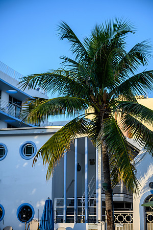 20191208_20191208_southbeach_00610.jpg