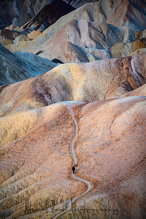 20200126_death_valley-3246.jpg