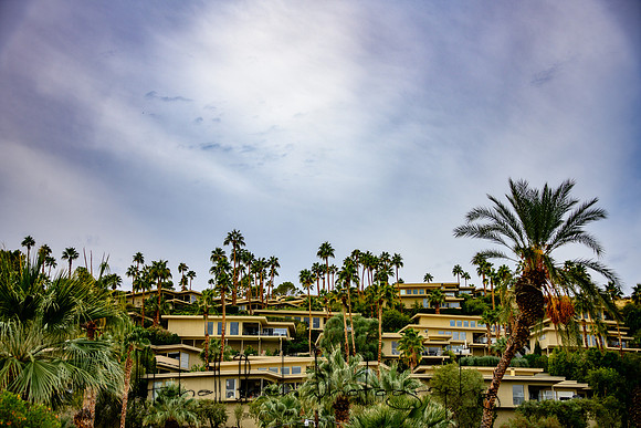 20191227_palm_springs-2034-Edit.jpg