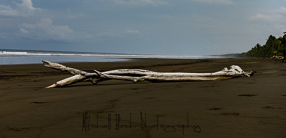 20190507_costa_rica-21-Edit.jpg