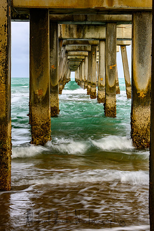 20200113-dania_pier-2921.jpg