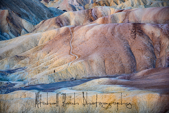 20200126_death_valley-3239.jpg