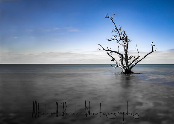 DSC_3122-Edit.jpg