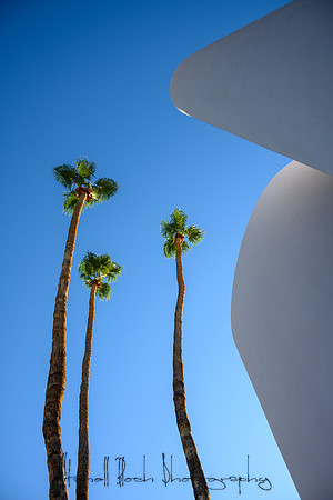 20191227_palm_springs-454.jpg