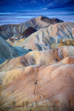 20200126_death_valley-3254.jpg