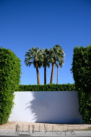 20191227_palm_springs-906-Edit.jpg