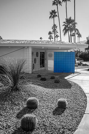 20191227_palm_springs-965.jpg