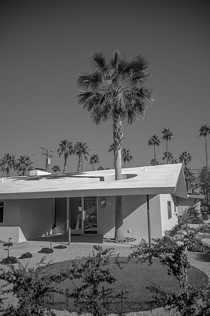 20191227_palm_springs-927.jpg