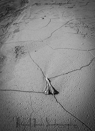 20200126_death_valley-3636.jpg