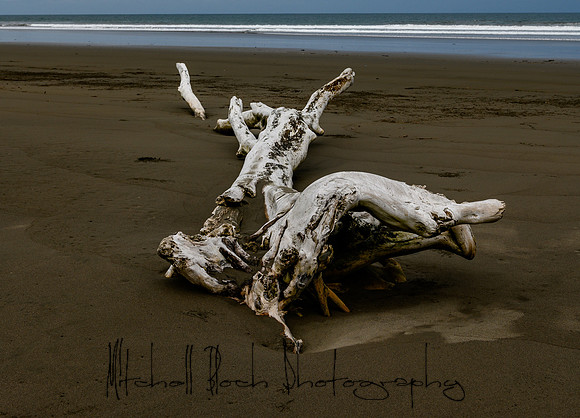 20190507_costa_rica-43.jpg