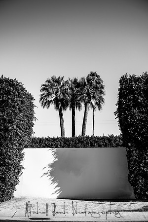 20191227_palm_springs-906-Edit-2.jpg