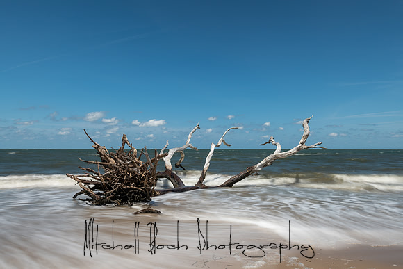 20200512_big_talbot_black_rock_beach-457-Edit.jpg
