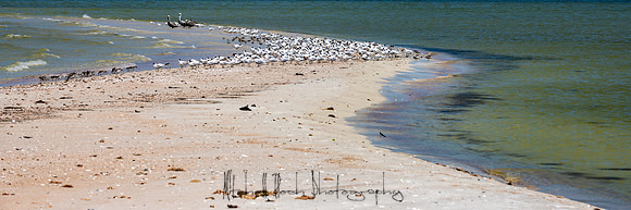 DSC_3223.jpg