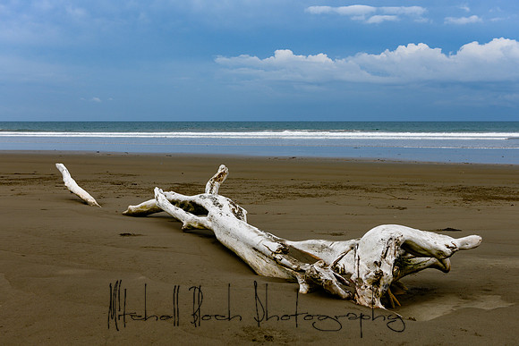 20190507_costa_rica-24.jpg