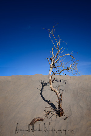 20200126_death_valley-3775_2.jpg