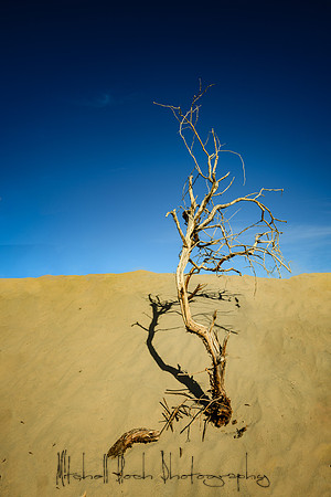 20200126_death_valley-3775-Edit.jpg