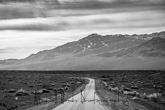 20200126_death_valley-4752.jpg