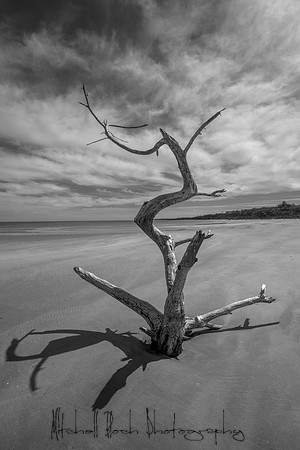 20200306_big_talbot-248-Edit-2.jpg