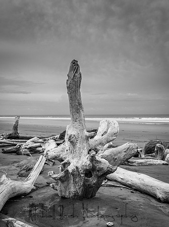 20190507_costa_rica-152-2.jpg