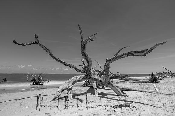 20200512_big_talbot_black_rock_beach-406-Edit-2.jpg