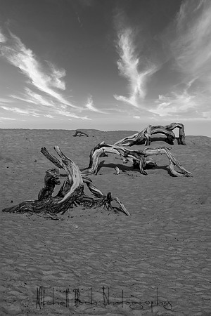 20200126_death_valley-3925_(2).jpg