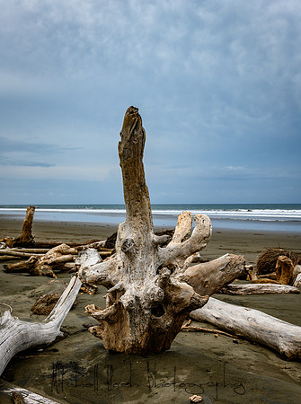 20190507_costa_rica-152.jpg