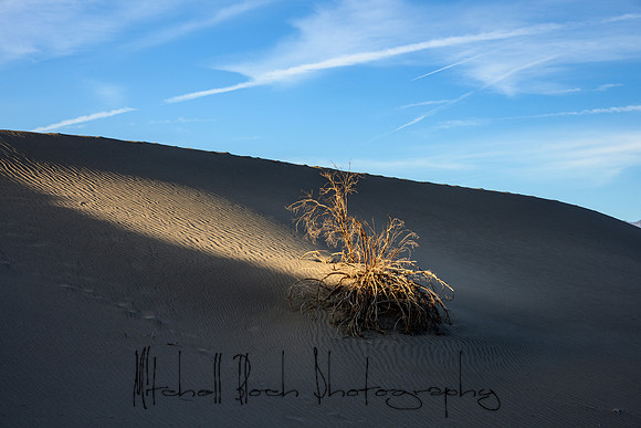 20200126_death_valley-4067.jpg