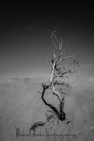 20200126_death_valley-3775.jpg