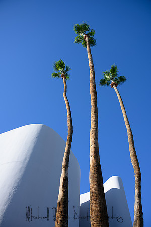 20191227_palm_springs-446.jpg