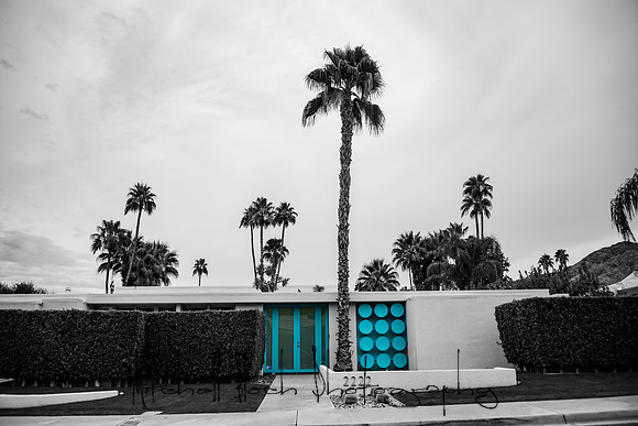 20191227_palm_springs-2232edit.jpg
