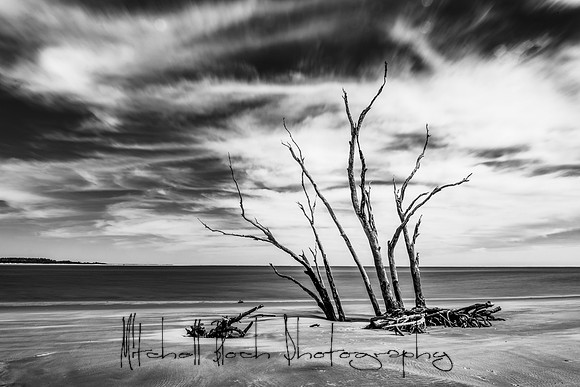 20200306_big_talbot-197-Edit-2.jpg