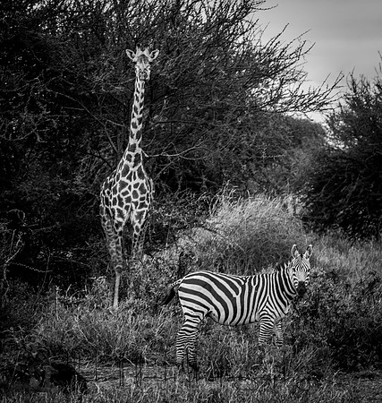 20190602_africa_1110-2.jpg