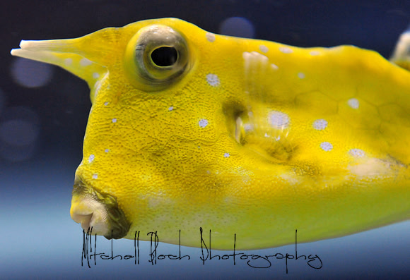 DSC_8367edited.jpg