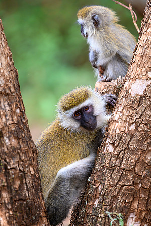 20190602_africa_0299.jpg