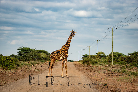 20190602_africa_1617.jpg