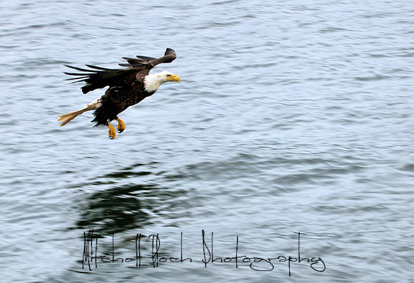 DSC_7103edited.jpg