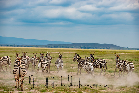 20190602_africa_1497.jpg