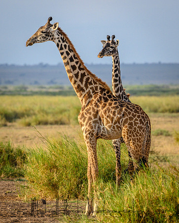 20190602_africa_0874.jpg