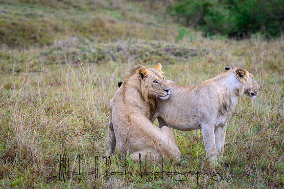 20190607_africa_7044.jpg