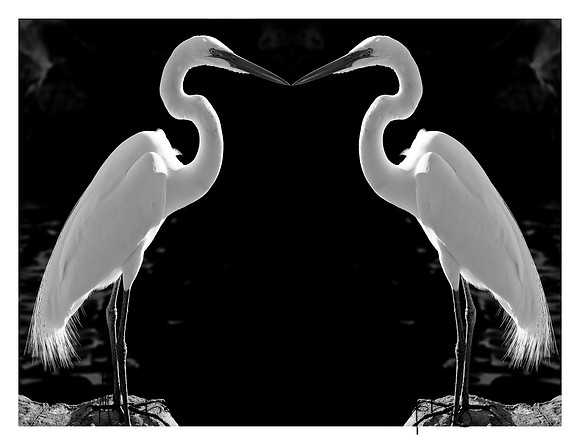 Mount_Dora_Christmas_09_122809_6527edited.composit.jpg