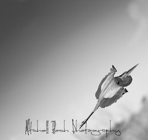 20180318_daytona_winterpark_artShow_0299.jpg