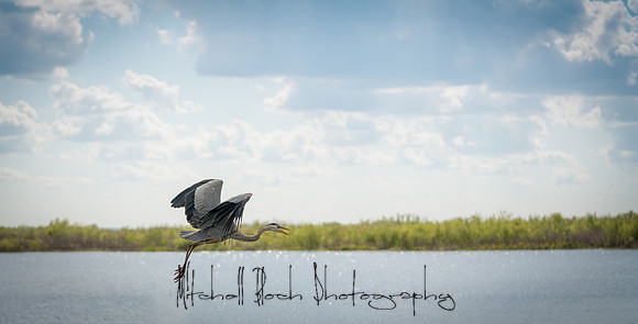 20180318_daytona_winterpark_artShow_0258-Edit.jpg