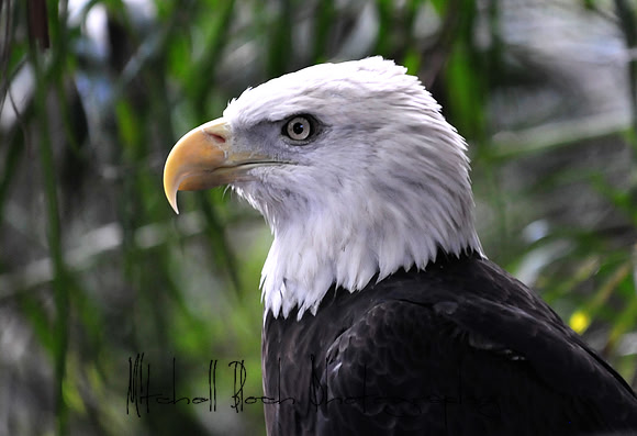 DSC_4256edited.jpg