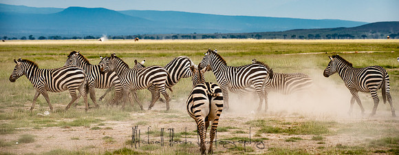 20190602_africa_1499.jpg