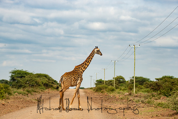 20190602_africa_1602.jpg