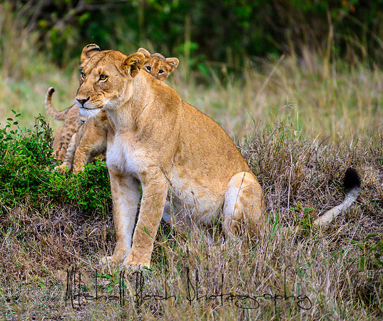 20190606_africa_6034.jpg