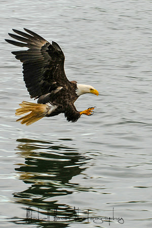 DSC_6975.jpg